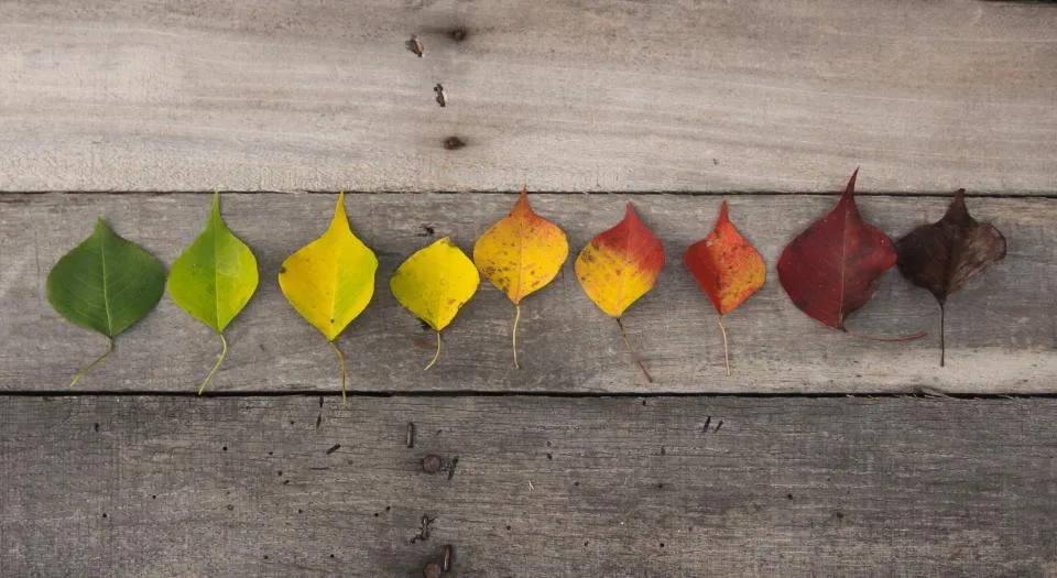 Seasonal page planning calendar