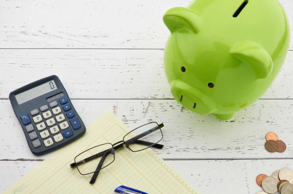 Software costs beyond the quote
